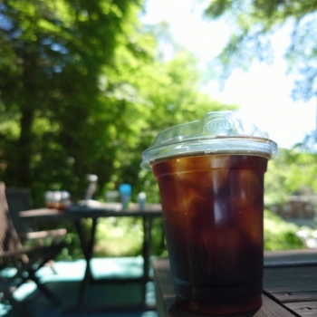 IMG_7372.jpeg
