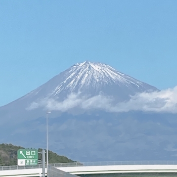 IMG_9494.jpeg
