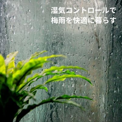 じめじめ対策